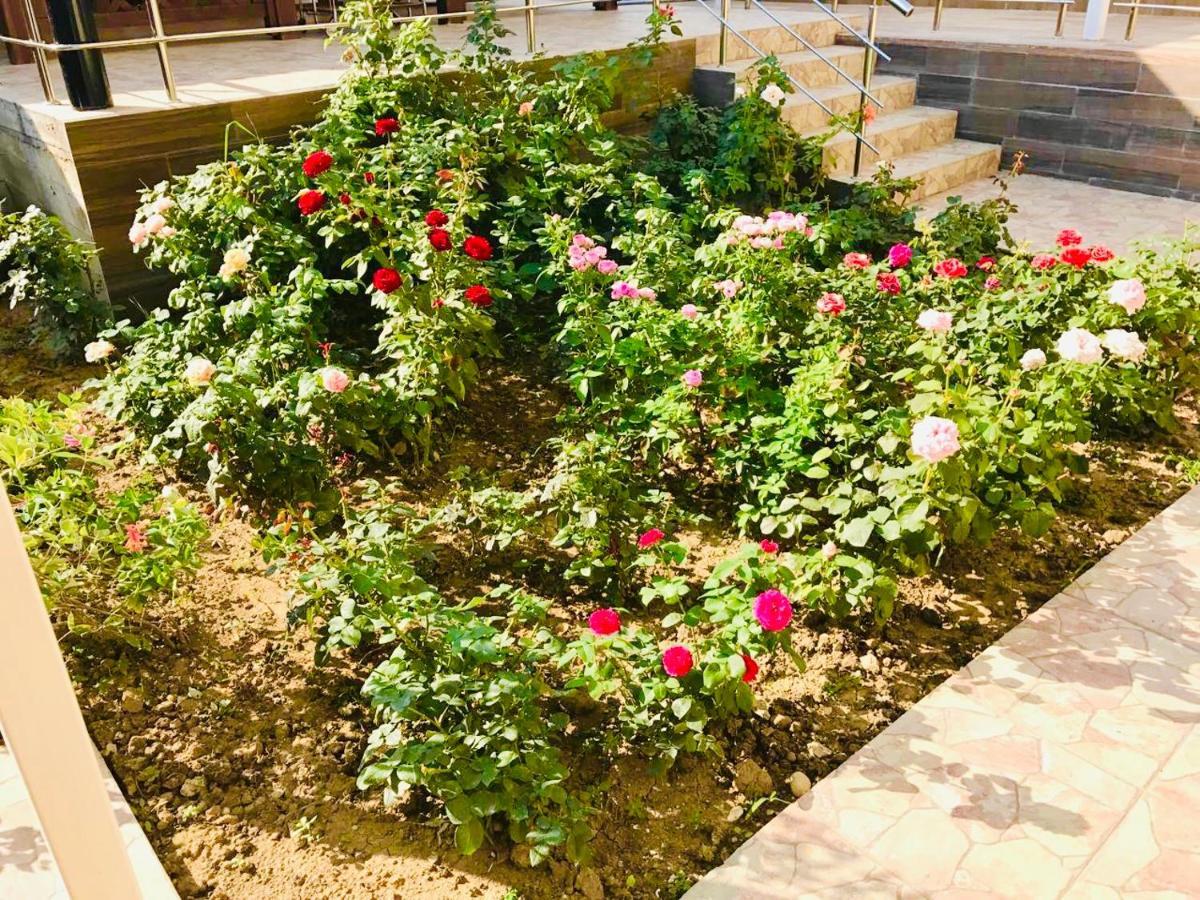 Мини-Отель Кристалл Gantiadi Exterior foto